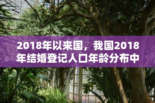 2018年以来国，我国2018年结婚登记人口年龄分布中40岁以上的有多少人