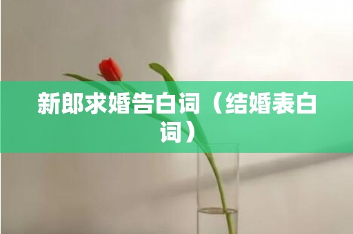 新郎求婚告白词（结婚表白词）