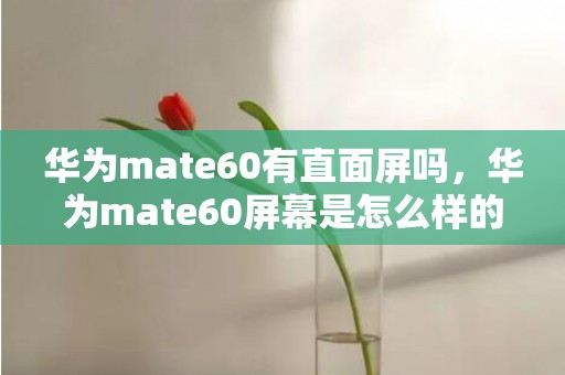 华为mate60有直面屏吗，华为mate60屏幕是怎么样的