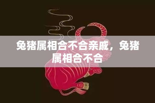 兔猪属相合不合亲戚，兔猪属相合不合