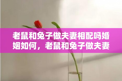 老鼠和兔子做夫妻相配吗婚姻如何，老鼠和兔子做夫妻相配吗