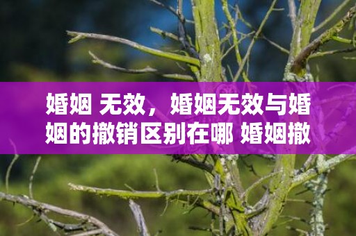 婚姻 无效，婚姻无效与婚姻的撤销区别在哪 婚姻撤销和无效的区别