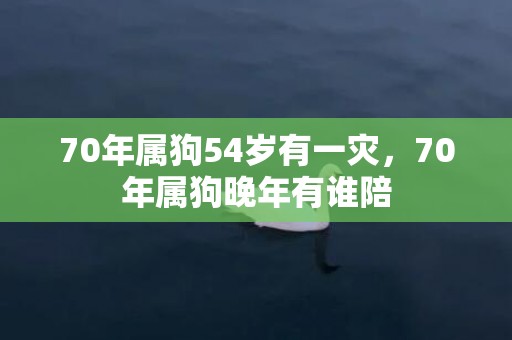 70年属狗54岁有一灾，70年属狗晚年有谁陪