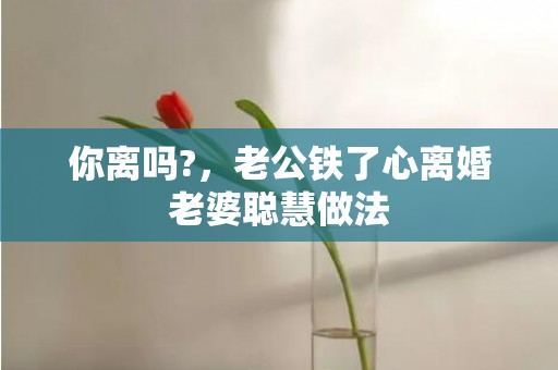 你离吗?，老公铁了心离婚老婆聪慧做法