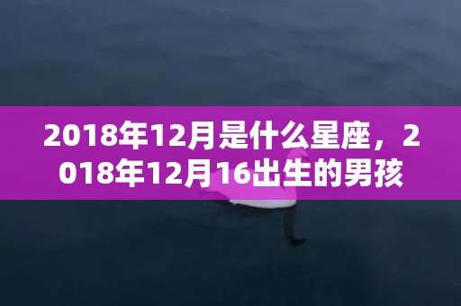 2018年12月是什么星座，2018年12月16出生的男孩好听的名字推荐大全