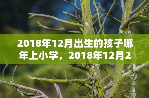 2018年12月出生的孩子哪年上小学，2018年12月29日出生男孩的起名推荐大全，性格好吗？