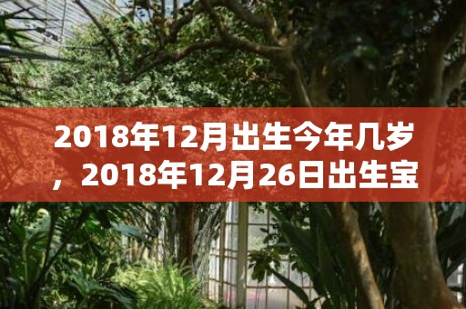 2018年12月出生今年几岁，2018年12月26日出生宝宝怎么起好听的乳名？