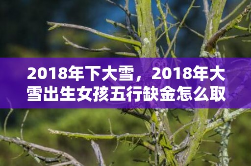 2018年下大雪，2018年大雪出生女孩五行缺金怎么取名？缺金的名字推荐