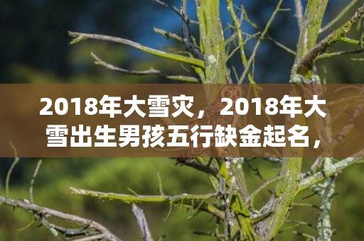 2018年大雪灾，2018年大雪出生男孩五行缺金起名，宝宝五行是缺金吗？