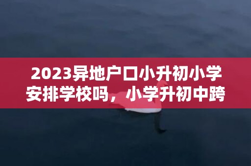 2023异地户口小升初小学安排学校吗，小学升初中跨省入学可以吗