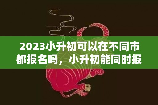 2023小升初可以在不同市都报名吗，小升初能同时报两个学校吗