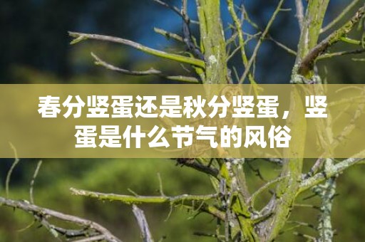 春分竖蛋还是秋分竖蛋，竖蛋是什么节气的风俗