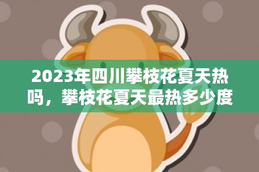 2023年四川攀枝花夏天热吗，攀枝花夏天最热多少度