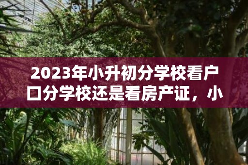 2023年小升初分学校看户口分学校还是看房产证，小升初是按照什么条件分学校