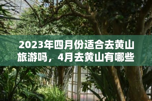 2023年四月份适合去黄山旅游吗，4月去黄山有哪些景点是必须去