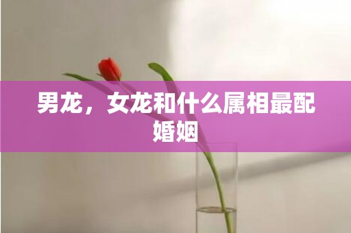 男龙，女龙和什么属相最配婚姻