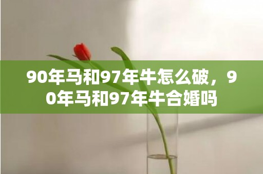 90年马和97年牛怎么破，90年马和97年牛合婚吗