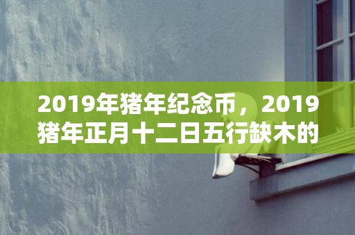 2019年猪年纪念币，2019猪年正月十二日五行缺木的男孩起什么名字吉利？