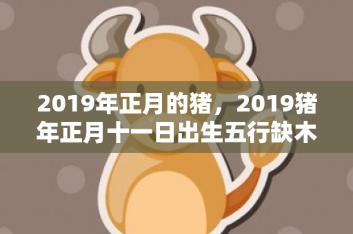 2019年正月的猪，2019猪年正月十一日出生五行缺木的男宝宝起名大全