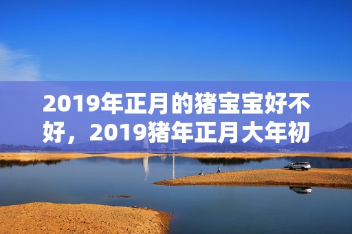 2019年正月的猪宝宝好不好，2019猪年正月大年初一五行缺金女孩起名大全