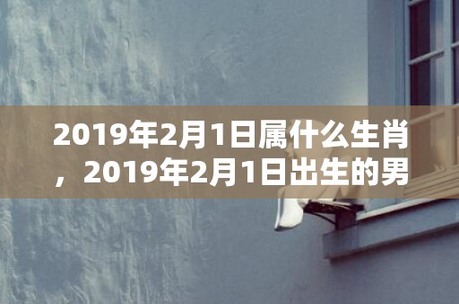 2019年2月1日属什么生肖，2019年2月1日出生的男宝宝起名，男孩如何起名？