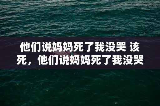 他们说妈妈死了我没哭 该死，他们说妈妈死了我没哭是什么歌 妈我有一年没有回家这是什么歌