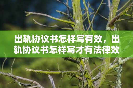 出轨协议书怎样写有效，出轨协议书怎样写才有法律效力呢？婚外情协议书有法律效力吗