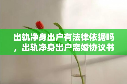 出轨净身出户有法律依据吗，出轨净身出户离婚协议书怎么写，离婚协议书在哪里拿