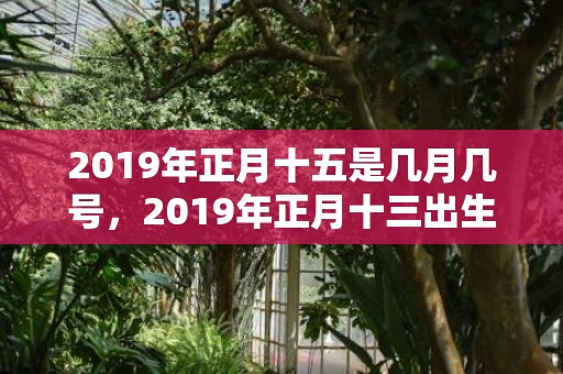 2019年正月十五是几月几号，2019年正月十三出生的女孩五行缺木名字推荐大全