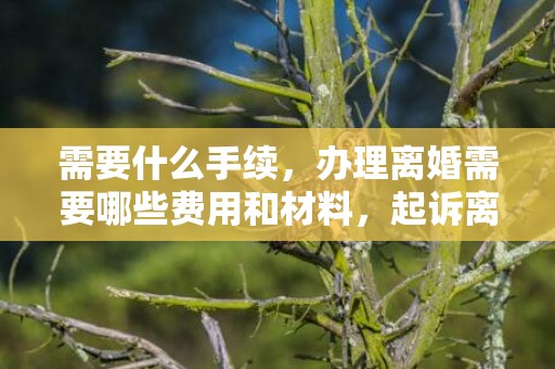 需要什么手续，办理离婚需要哪些费用和材料，起诉离婚费用