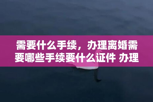 需要什么手续，办理离婚需要哪些手续要什么证件 办理离婚证流程