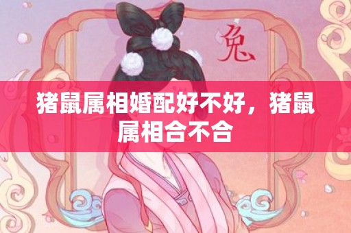 猪鼠属相婚配好不好，猪鼠属相合不合