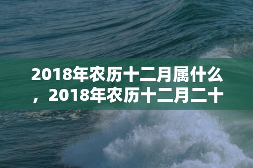 2018年农历十二月属什么，2018年农历十二月二十八出生的女孩好听的名字推荐大全