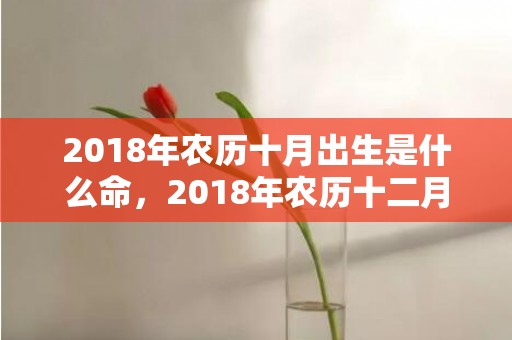 2018年农历十月出生是什么命，2018年农历十二月二十八出生的男孩好听又霸气的名字推荐