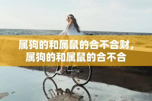 属狗的和属鼠的合不合财，属狗的和属鼠的合不合