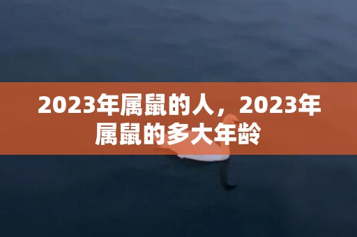 2023年属鼠的人，2023年属鼠的多大年龄