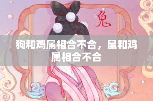 狗和鸡属相合不合，鼠和鸡属相合不合