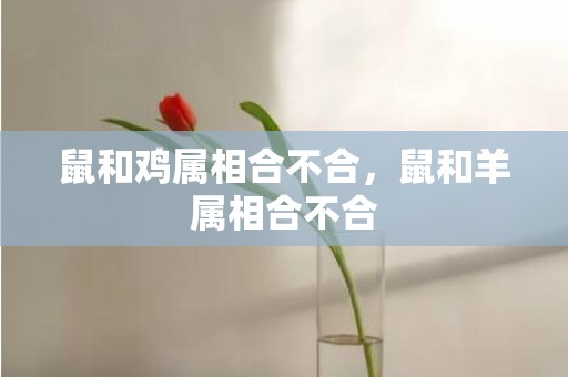 鼠和鸡属相合不合，鼠和羊属相合不合