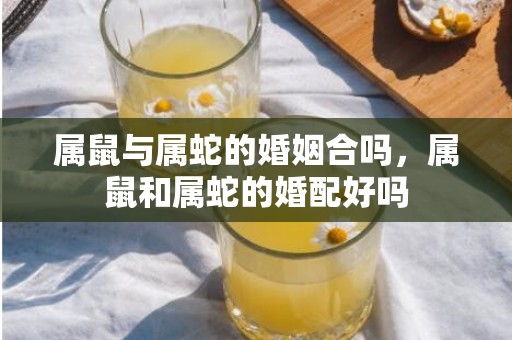 属鼠与属蛇的婚姻合吗，属鼠和属蛇的婚配好吗