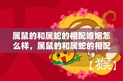 属鼠的和属蛇的相配婚姻怎么样，属鼠的和属蛇的相配吗