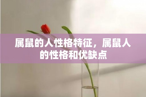 属鼠的人性格特征，属鼠人的性格和优缺点