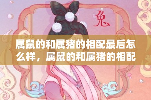 属鼠的和属猪的相配最后怎么样，属鼠的和属猪的相配吗