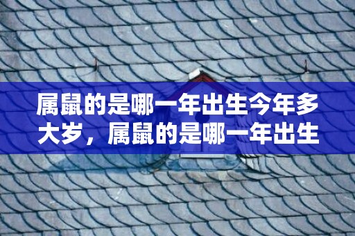 属鼠的是哪一年出生今年多大岁，属鼠的是哪一年出生