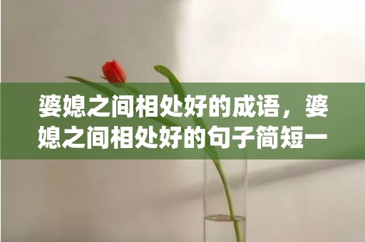 婆媳之间相处好的成语，婆媳之间相处好的句子简短一点(婆媳相处人生感悟句子)