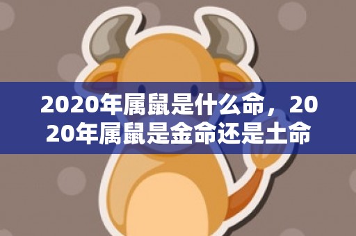 2020年属鼠是什么命，2020年属鼠是金命还是土命