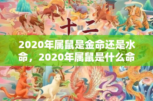 2020年属鼠是金命还是水命，2020年属鼠是什么命