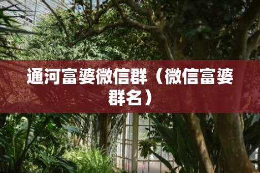 通河富婆微信群（微信富婆群名）