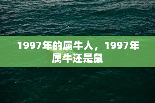 1997年的属牛人，1997年属牛还是鼠