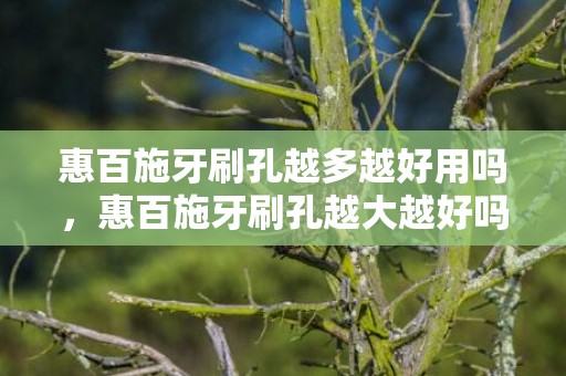 惠百施牙刷孔越多越好用吗，惠百施牙刷孔越大越好吗