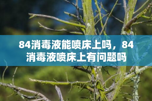 84消毒液能喷床上吗，84消毒液喷床上有问题吗